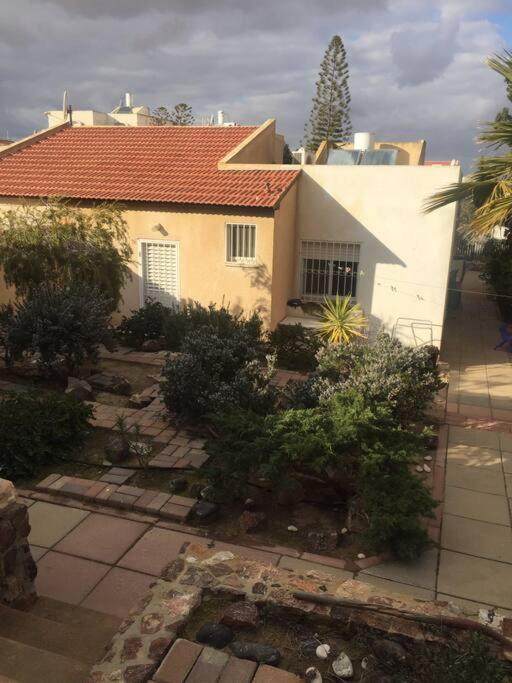 The Little Dorm And Beer Arad Exterior photo